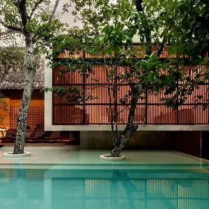 https://jungle-keva-tulum.allrivieramayahotels.com